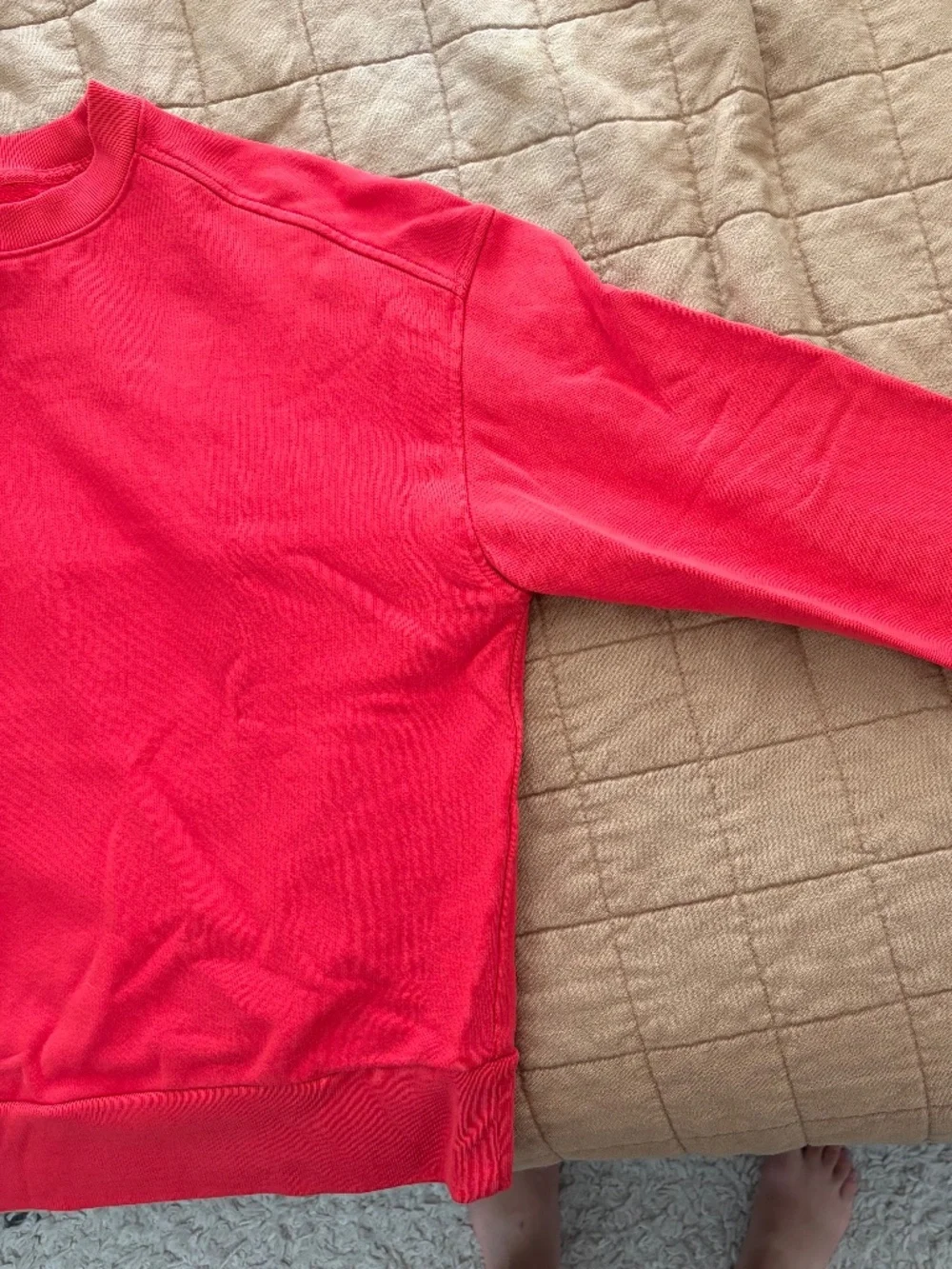 Everlane Organic Cotton Crewneck - Picture 3 of 5